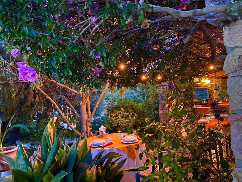 Oasi Muru Idda Bed and breakfast 2*